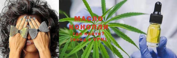 мет Алексин
