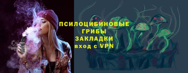гашик Алзамай