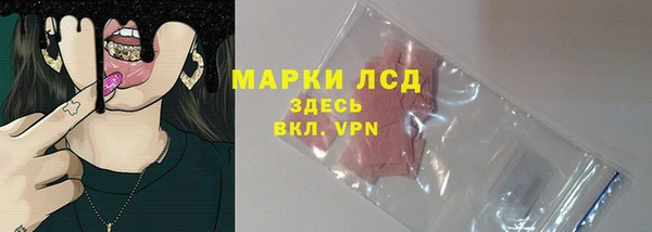 гашик Алзамай
