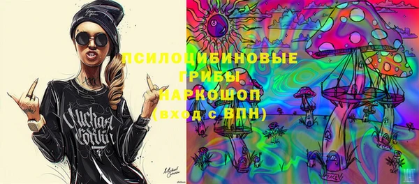 гашик Алзамай