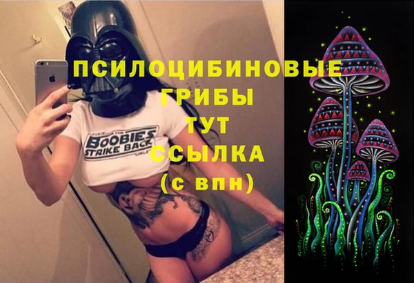 гашик Алзамай