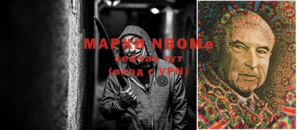 мет Алексин