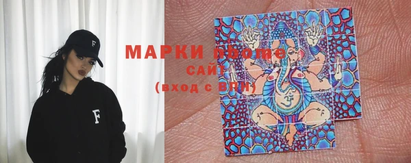 мет Алексин