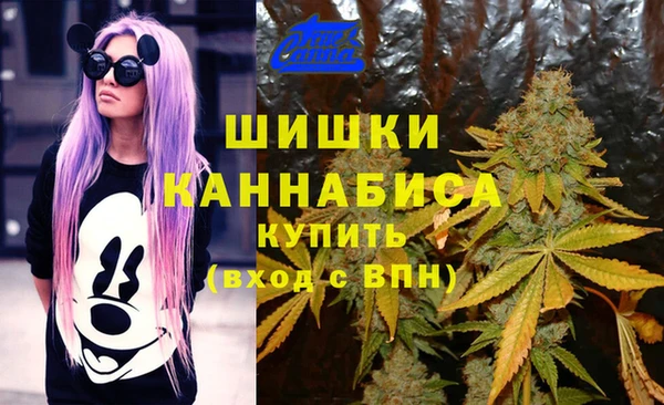гашик Алзамай