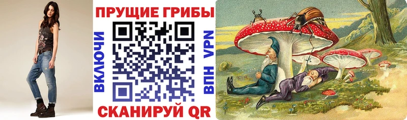 магазин    Петровск-Забайкальский  Галлюциногенные грибы GOLDEN TEACHER 